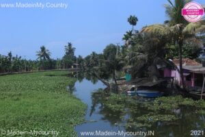 MadeinMycountry-India-MadeinMycountryIndia-MadeinMycountry-Asia-MadeinMycountryIN